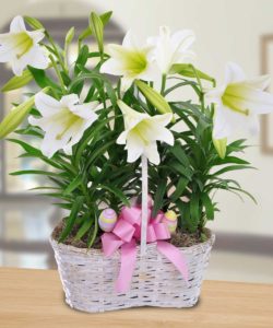 E_Easter_Lily_Basket__08801.1362069051.1280.1280